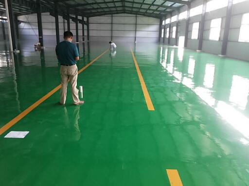 ������ƺ����