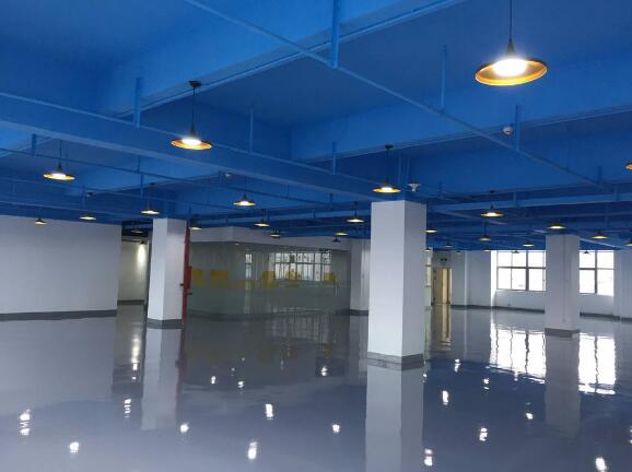 ������ƺ����